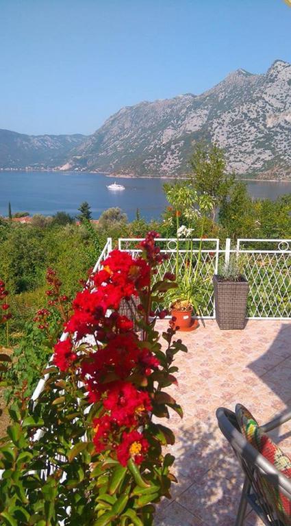 Apartment Rose Garden Risan Buitenkant foto